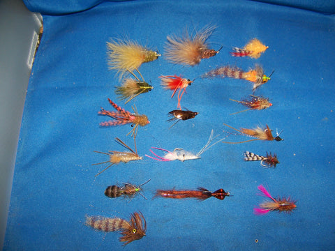 Saltwater Shrimp Fly Patterns from UmpQua and Fly H20 Best Available Redfish, Trout, Bonefish