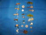 Bonefish and Permit and RedFish Crab Fly Patterns Umpqua and Fly H20 Size 8,6,4,2 Multi Color