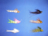 CJ Super Shrimp Size 2 Tan, Clear, Black, Olive, Pink/Chart, Brn/Wht