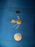 Bonefish and Permit and RedFish Crab Fly Patterns Umpqua and Fly H20 Size 8,6,4,2 Multi Color