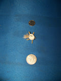 Bonefish and Permit and RedFish Crab Fly Patterns Umpqua and Fly H20 Size 8,6,4,2 Multi Color